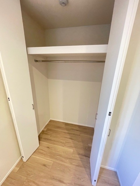 Ｋａｌａｎｃｈｏｅ その他1