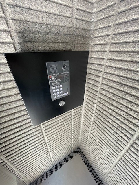 Ｋａｌａｎｃｈｏｅ その他6