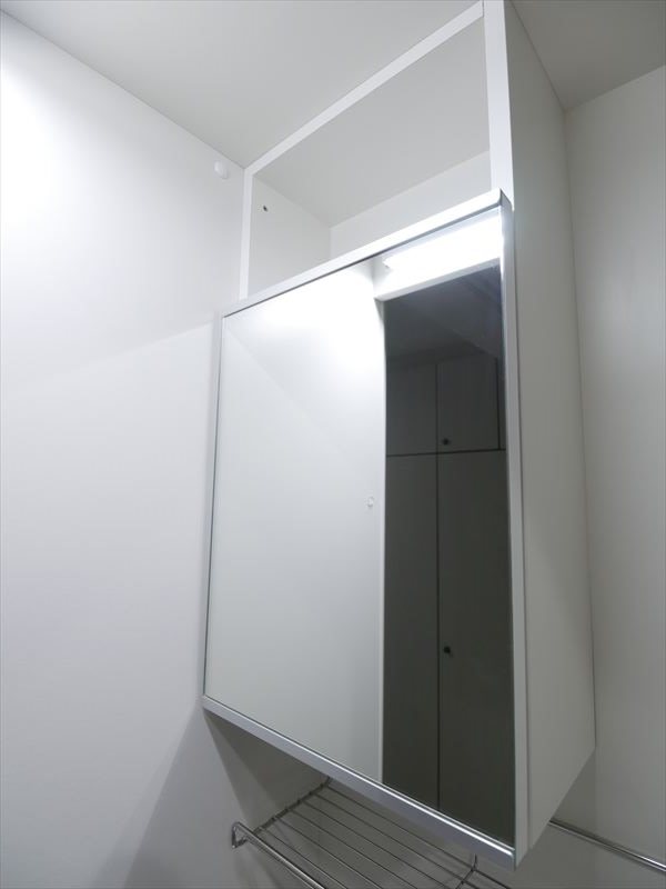 ニューガイアリルーム葛西駅南No,20 その他8