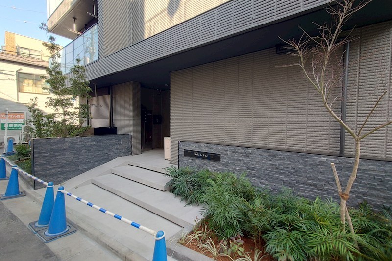 Ｋａｌａｎｃｈｏｅ その他1