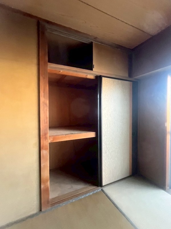 コートアオイ  その他3