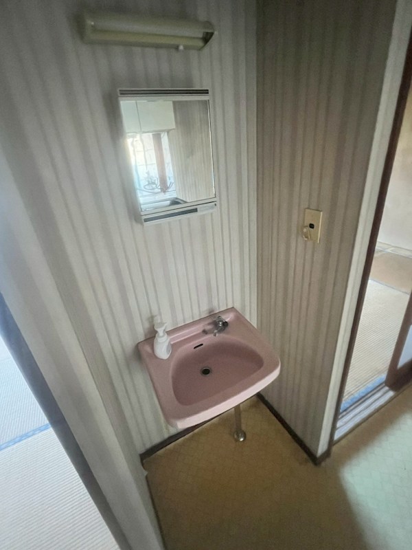 コートアオイ  その他4