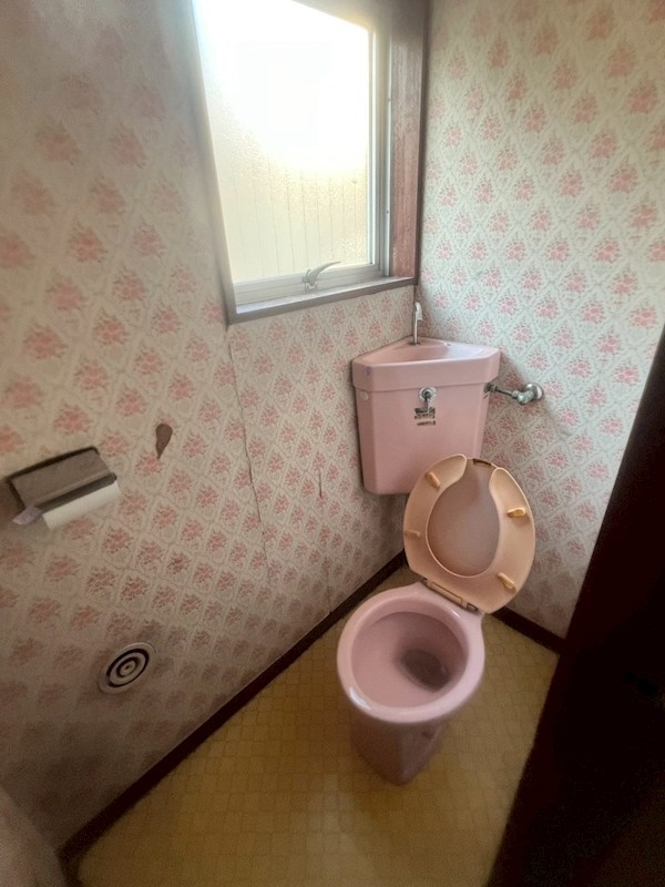 コートアオイ  その他5