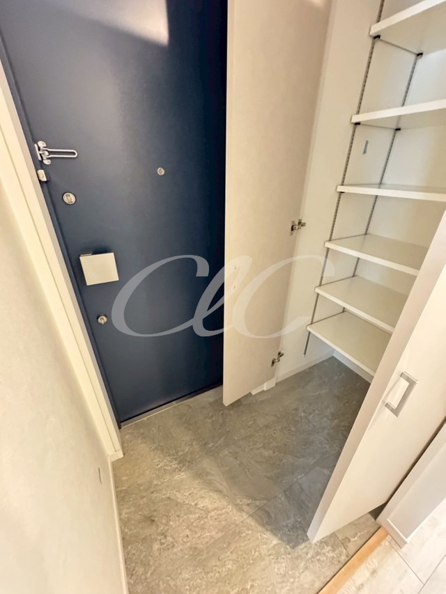 綾瀬プラチナビル  玄関