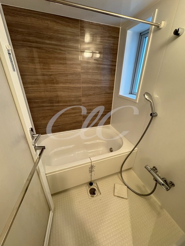 綾瀬プラチナビル  風呂画像