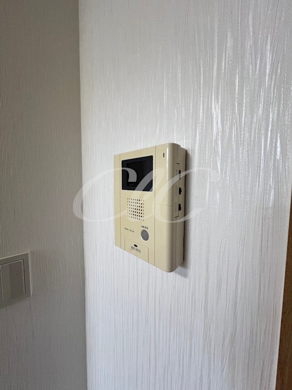 パームツリー その他5