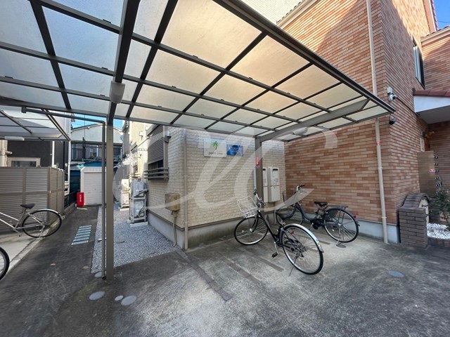 パームツリー その他7