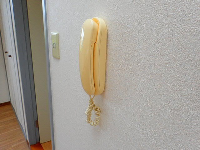 シャインスター  その他5