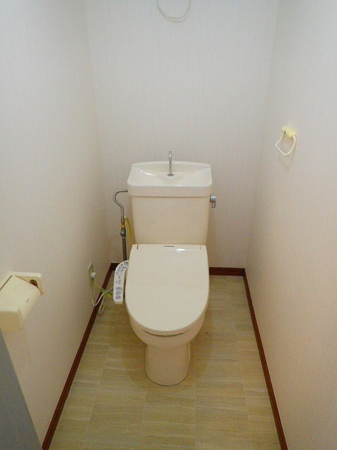 シャインスター  その他3