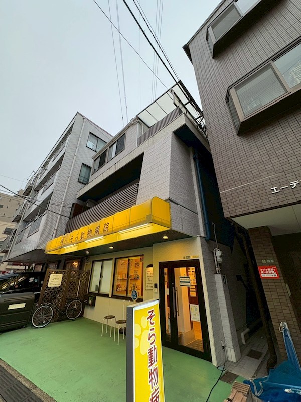 さかいビル その他6