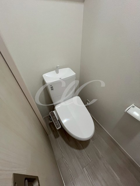 シュバーンⅡ その他1