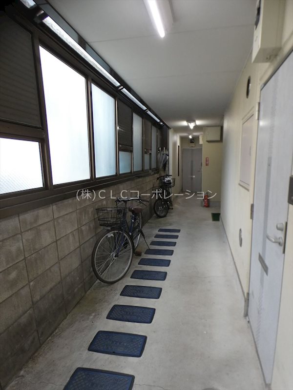 スプリング・サン その他2