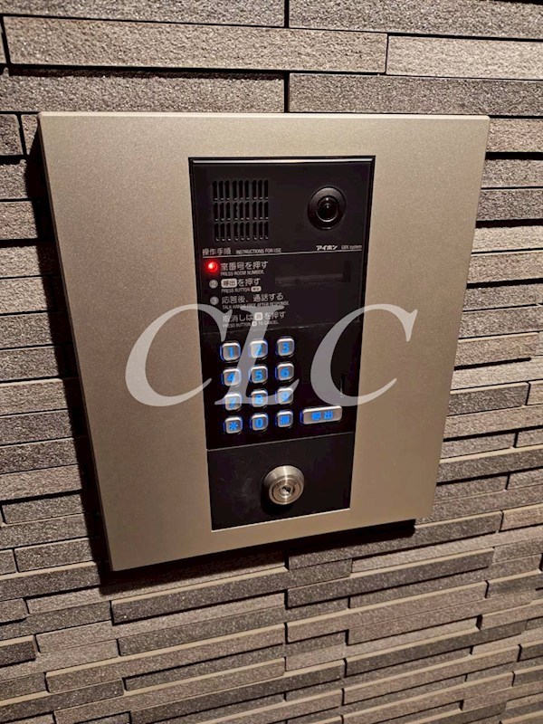 VARIE AKIBA Due その他9