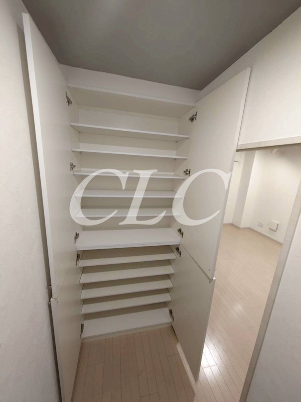 VARIE AKIBA Due その他13