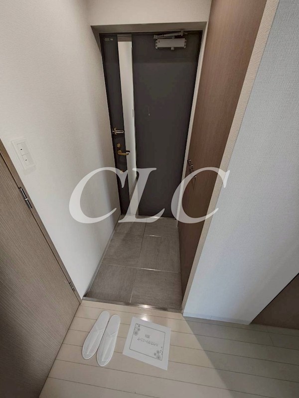 リファイズエムエス 玄関