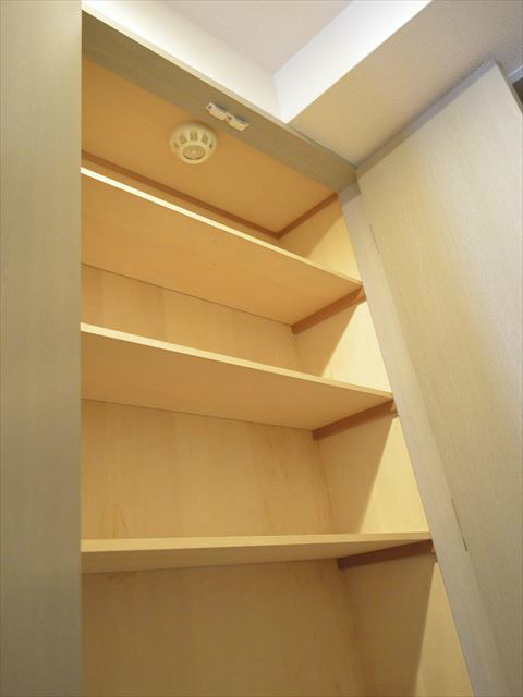 プリマベーラ王子   その他16