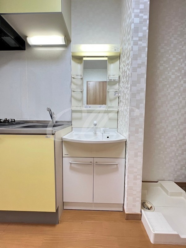 パームツリー その他2