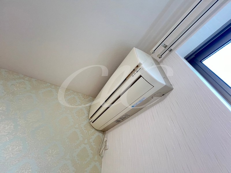 パームツリー その他3