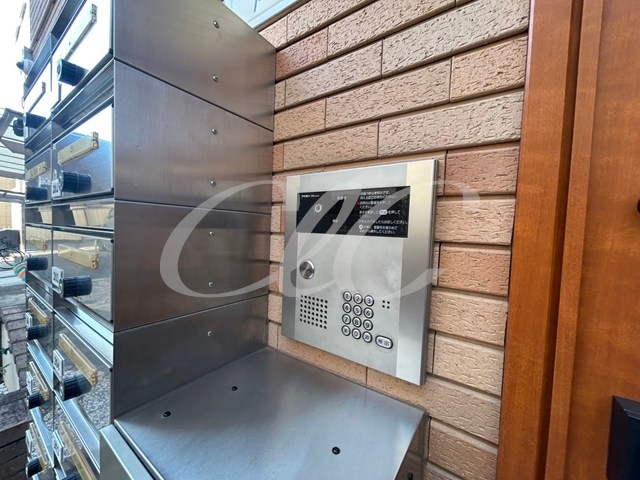 パームツリー その他8