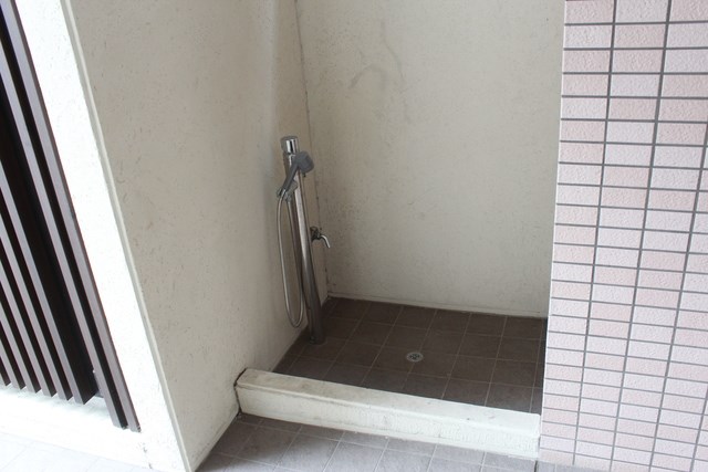 ステラ北進   その他3