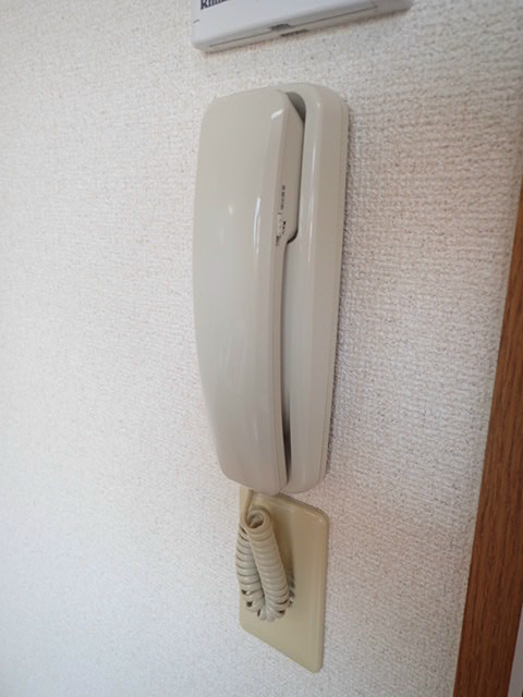 花みずき６ その他6