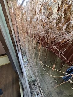 鳴海荘 ベランダ