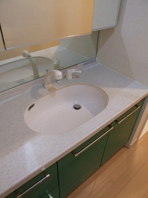 ロイヤルパークス新田 その他6