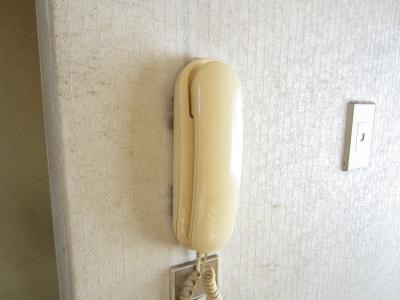 カルゴドール その他3