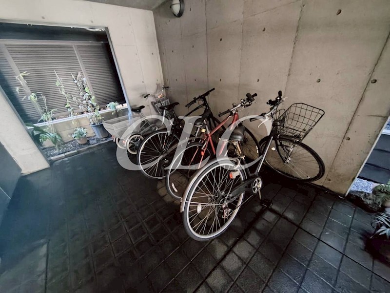 サザンヴィレッヂ その他9