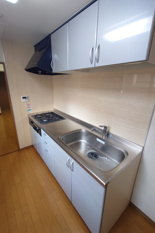 ルミナスはなみずき その他17