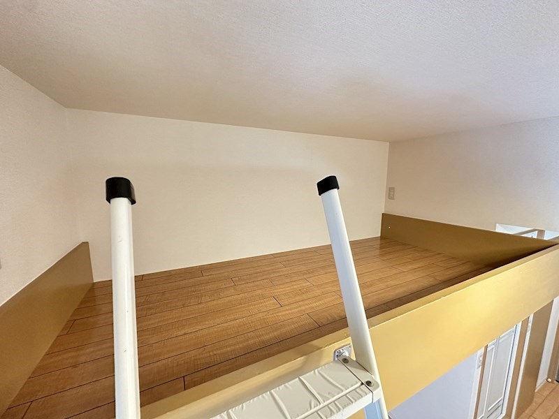 フローラ４ その他11