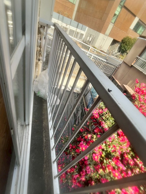 パークハイツ桜木  ベランダ