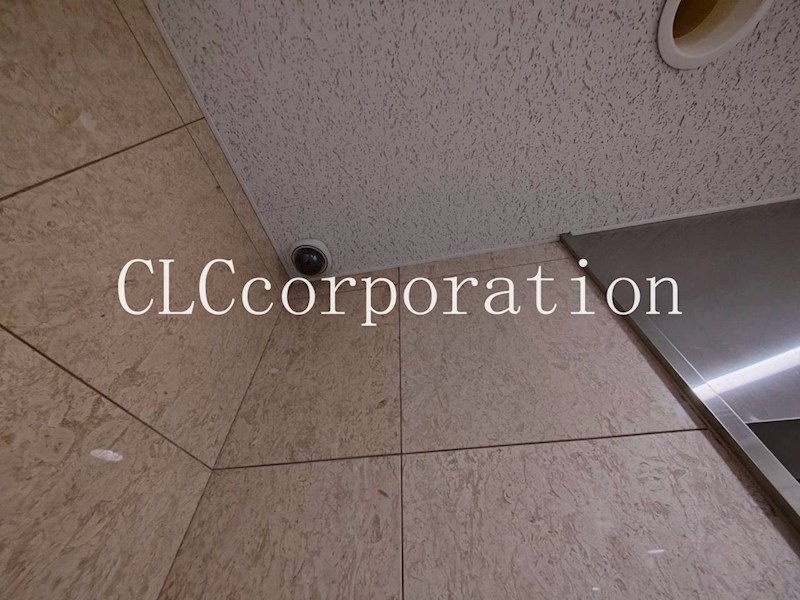 レイ・ローズビル  その他6