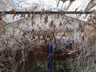 鳴海荘 その他4