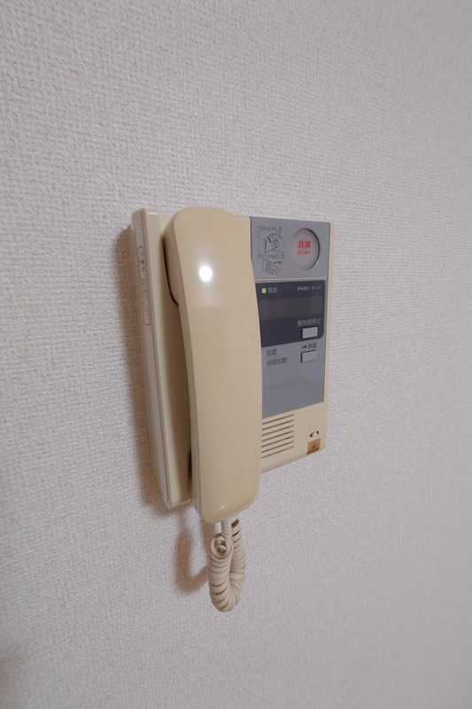 ルミナスはなみずき その他22