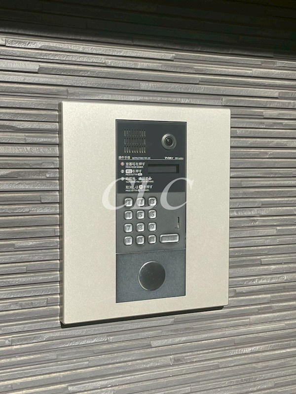 クルス デル スール (Cruz Del Sur) その他9