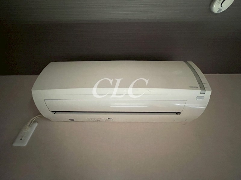 クルス デル スール (Cruz Del Sur) その他14