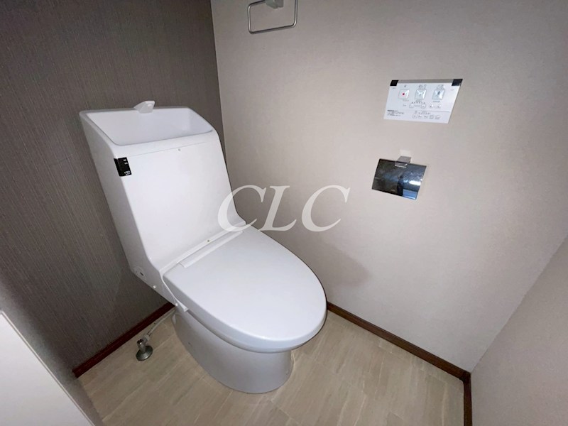 クルス デル スール (Cruz Del Sur) その他5