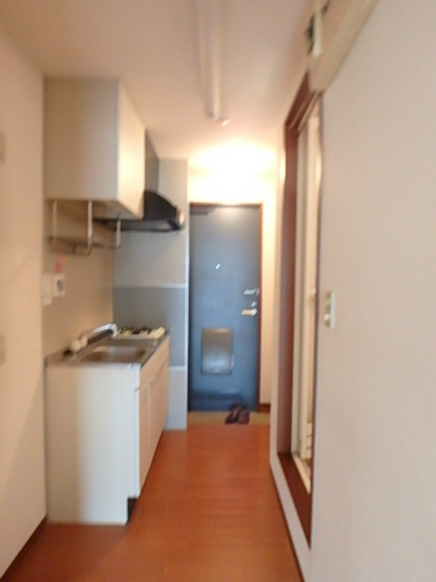 花ハウス2  その他8