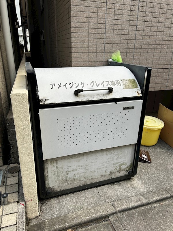 アメイジング・グレイス その他4