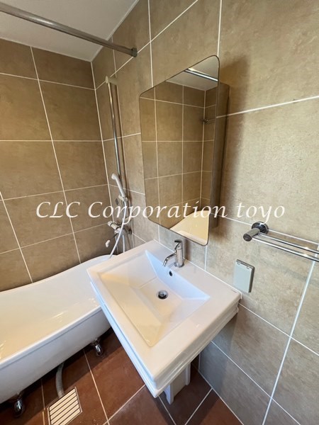 カラクムアチェリア  その他1