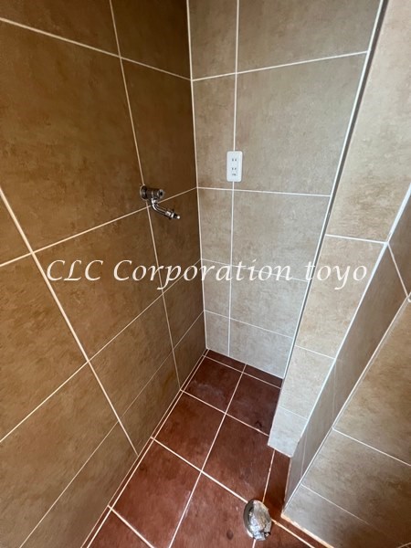 カラクムアチェリア  その他5