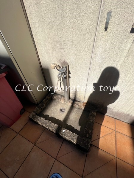 カラクムアチェリア  その他8