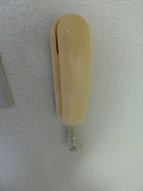 エール谷中    その他3