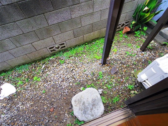 スリーウッド  ベランダ