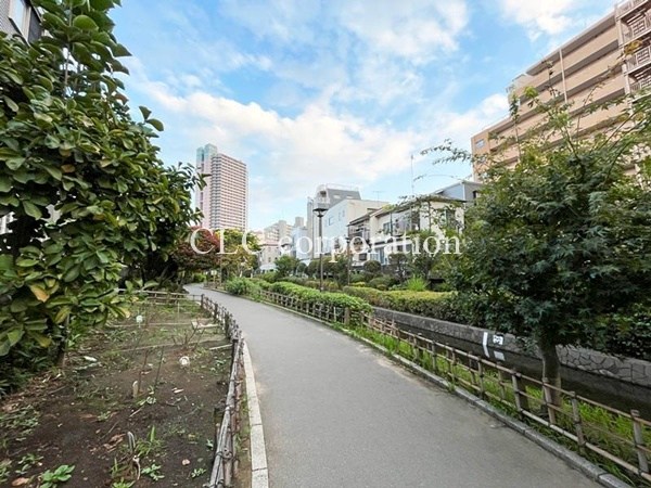 パークアクシス門前仲町テラス その他4