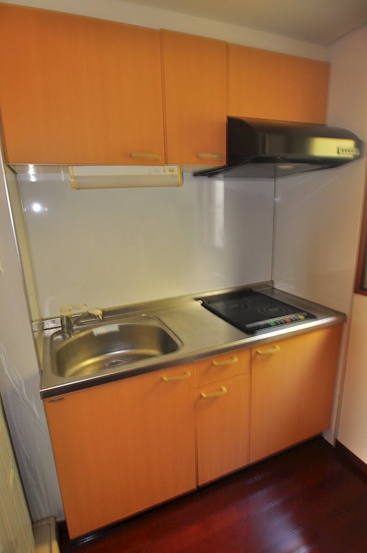 レイ・ローズビル キッチン