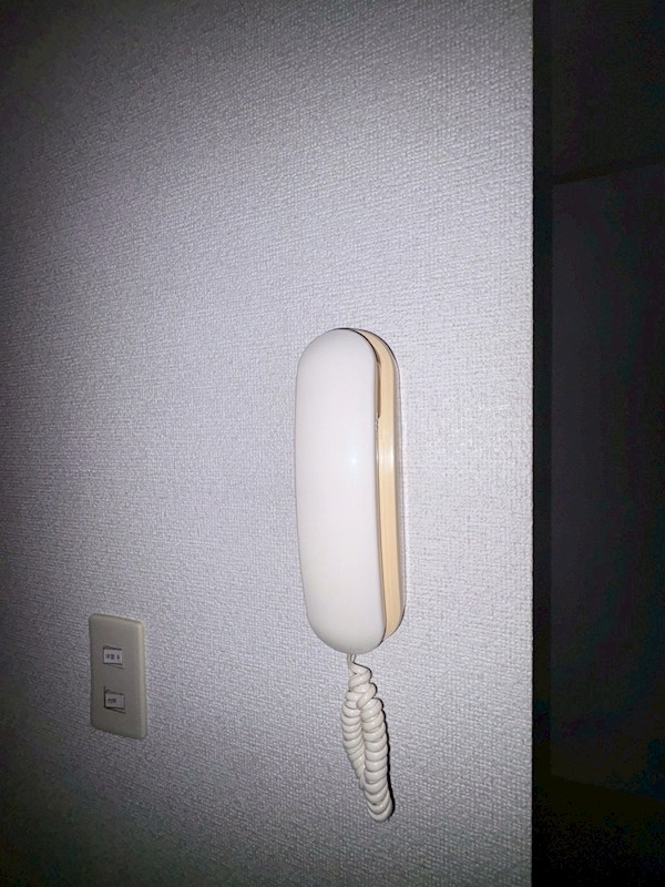 メゾンフェルテイル その他5