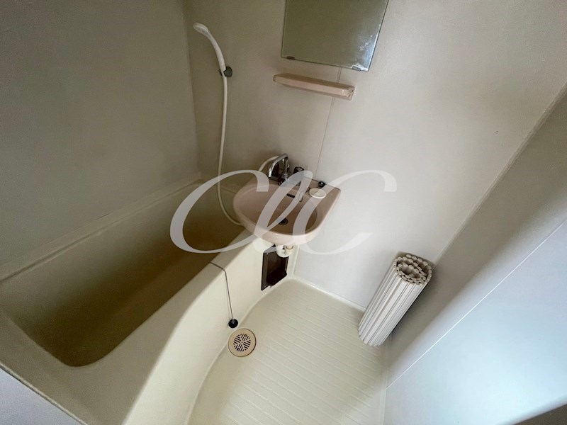 第二ペガサスB 風呂画像