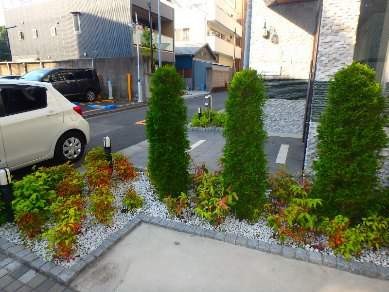 アルベロ向島23 その他8